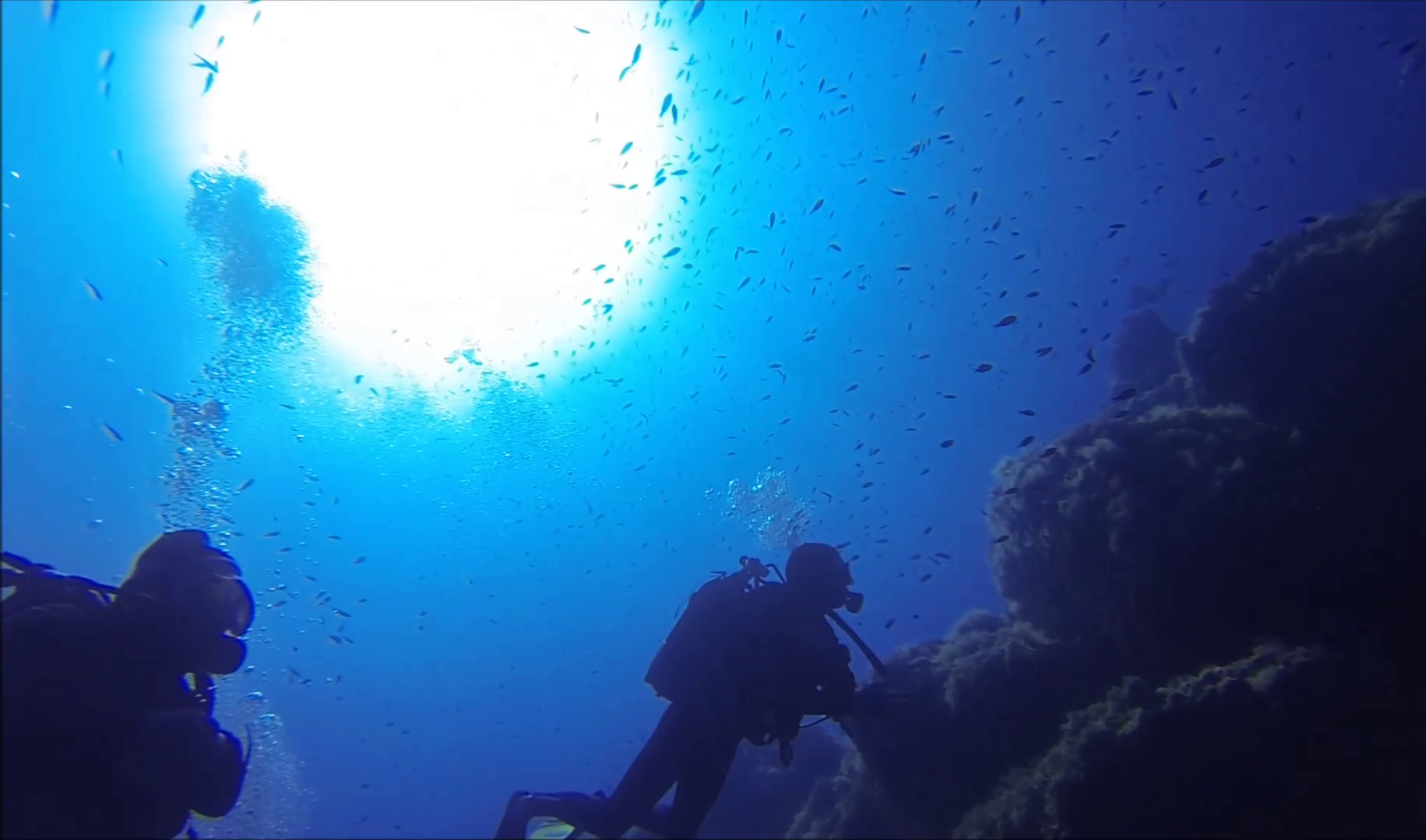 201706 calvi revelatta